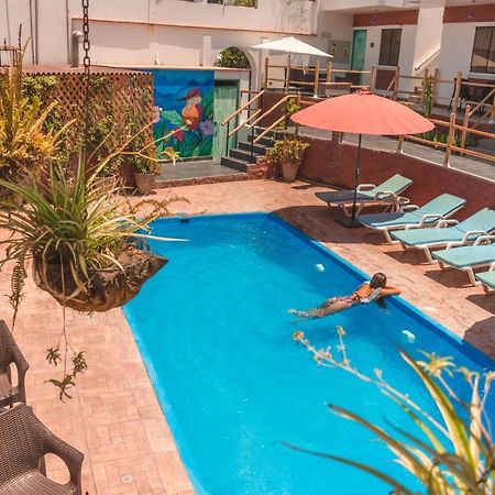 Hotel Villa Jazmin อิกา ภายนอก รูปภาพ